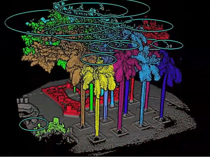 Color-segmented point cloud of individual trees with trunk and canopy analysis, a forestry survey captured beyond GPS constraints.