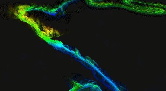 其域创新参与北理珠 地下河数字艺术影像与洞口轨道立体影院工程