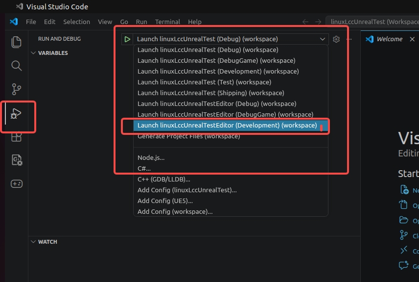 在 VS Code Run and Debug 中编译项目的 Editor Development 配置